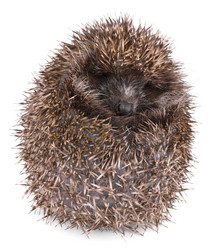 Similar image 2923582