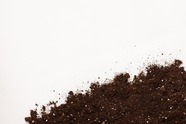 Similar image 2923621