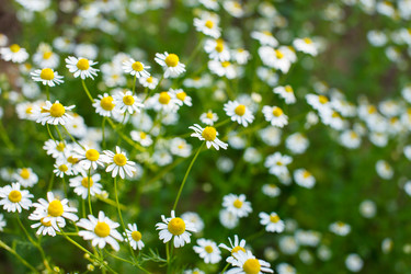 Similar image 2923635