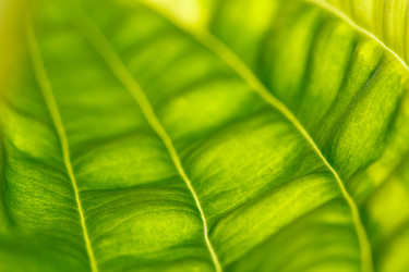 Similar image 2923639