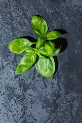 Similar image 2923641