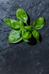 Similar image 2923643