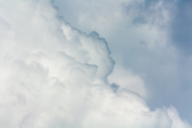 Similar image 2923657