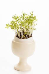 Similar image 2923658