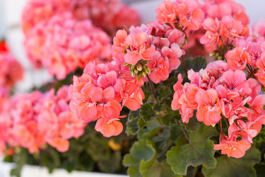 Similar image 2923660