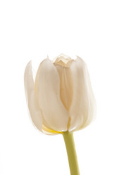 Similar image 2923679