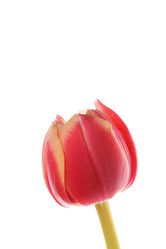 Similar image 2923680