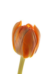 Similar image 2923681