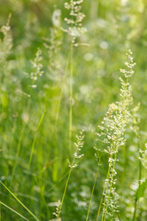 Similar image 2923689