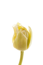 Similar image 2923692