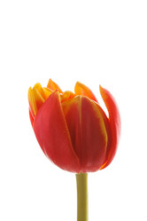 Similar image 2923693