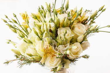 Similar image 2923702