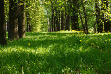 Similar image 2923730