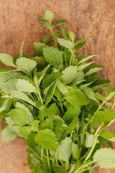 Similar image 2923754