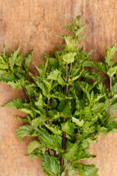 Similar image 2923763