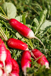 Similar image 2923766