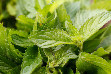 Similar image 2923767