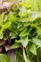 Similar image 2923768