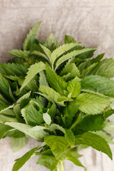 Similar image 2923771