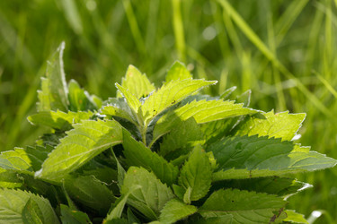 Similar image 2923773