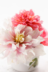 Similar image 2923781