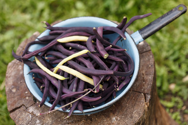 Similar image 2923784