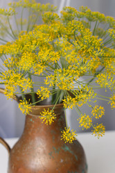 Similar image 2923789