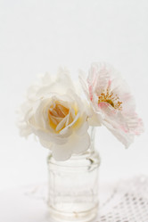 Similar image 2923804