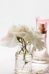 Similar image 2923805