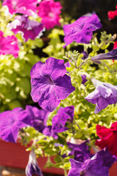 Similar image 2923809