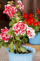 Similar image 2923810