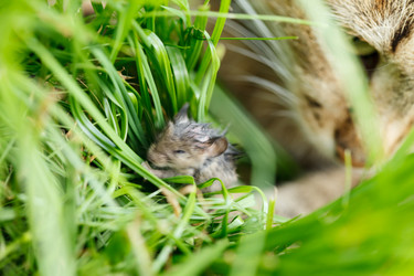 Similar image 2923833