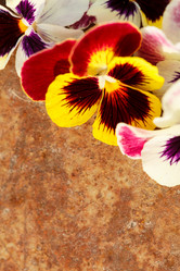 Similar image 2923834