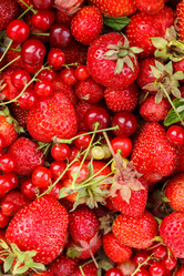 Similar image 2923840