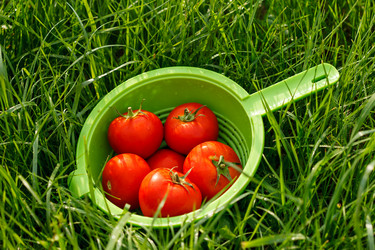 Similar image 2923842