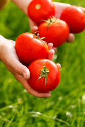 Similar image 2923843