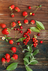 Similar image 2923850