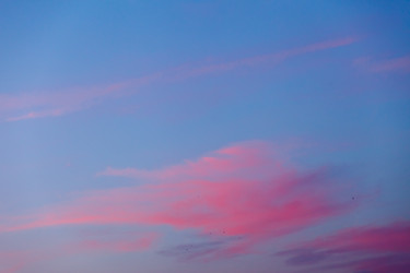 Similar image 2923852