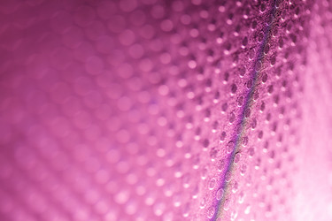 Similar image 2923868