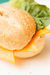 Similar image 2923908