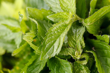 Similar image 2923957