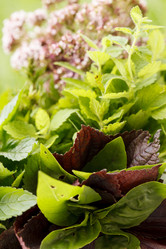 Similar image 2923958