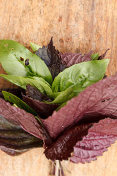 Similar image 2923960