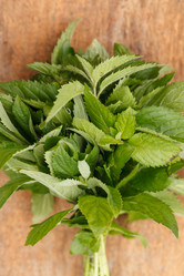 Similar image 2923961