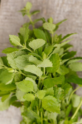 Similar image 2923972