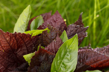 Similar image 2923987