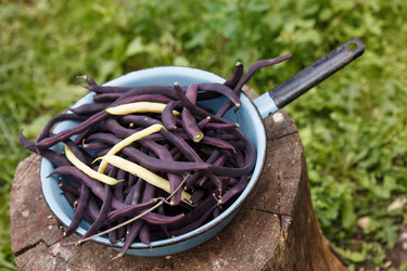 Similar image 2923988