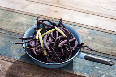 Similar image 2923989