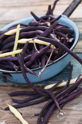 Similar image 2923990