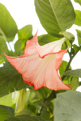 Similar image 2923991